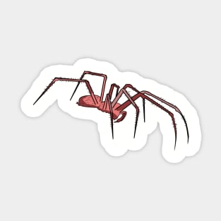 Red Spider Sticker